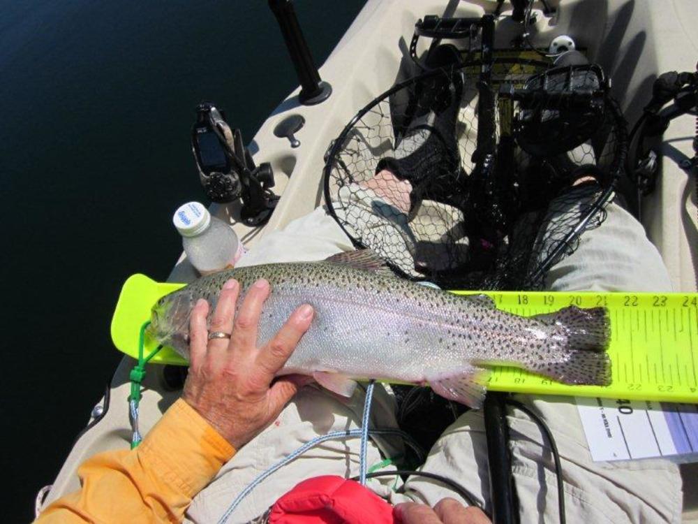 Rainbow trout  21.25  pardee lake   6 14 11