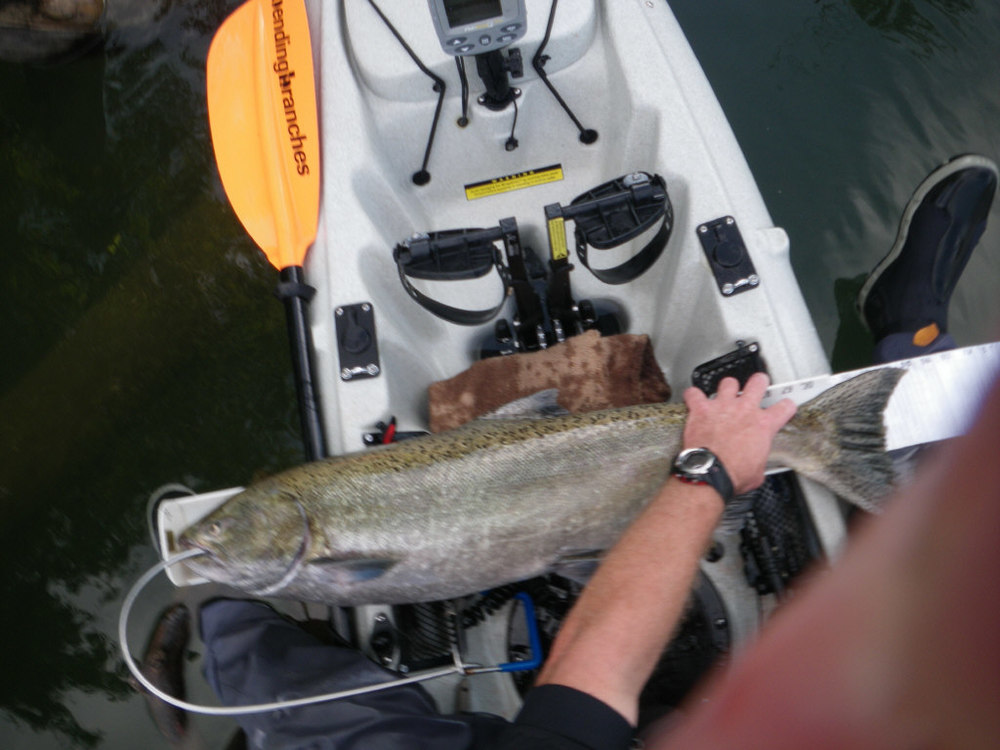 35 inch salmon