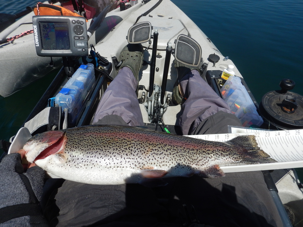 Rainbow trout  22.50  4 19 21