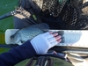 Vccrappie21 thumb
