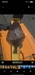 1000016470 thumb
